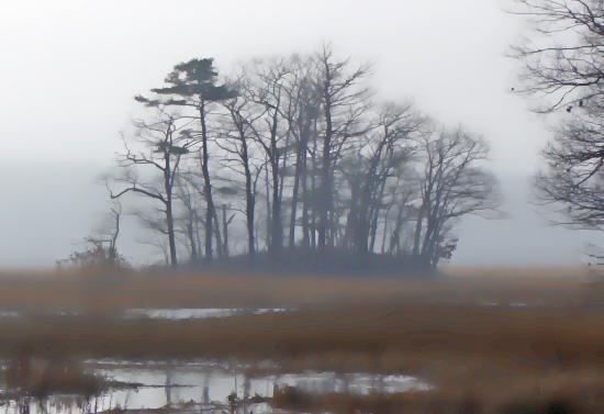 Mill Brook Point 06
