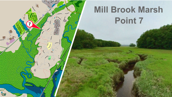 Mill Brook Marsh - Point 7