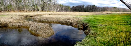 Mill Brook Marsh - Point 7 - Spring Panorama