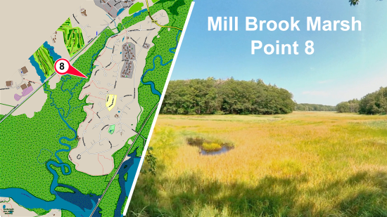 Mill Brook Marsh - Point 8
