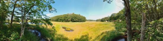 Mill Brook Marsh - Point 8 - Panorama