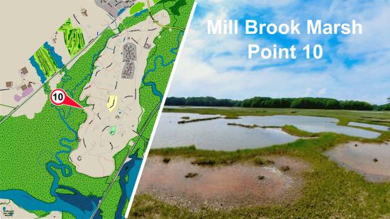 Mill Brook Marsh - Point 10