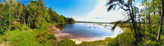 Mill Brook Marsh - Point 12 - Panorama