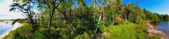 Mill Brook Marsh - Point 12 - Panorama