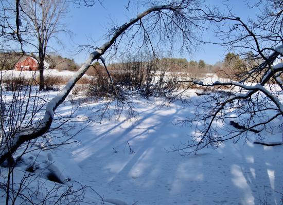 Woodspell/Hunnewell Hill in Winter