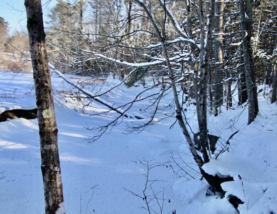 Woodspell/Hunnewell Hill in Winter