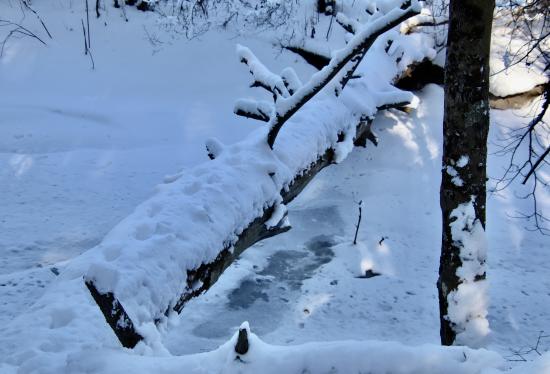 Woodspell/Hunnewell Hill in Winter