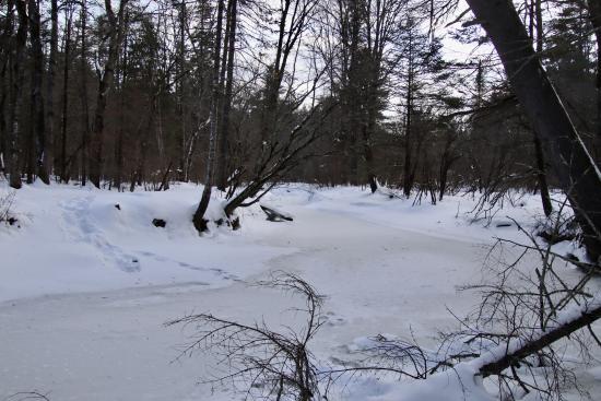 from Fuller Farm trails