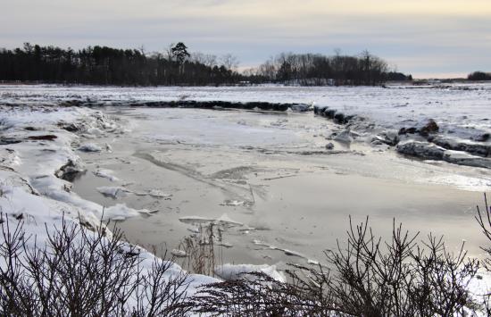 view of the Nonesuch from Black Point Rd.