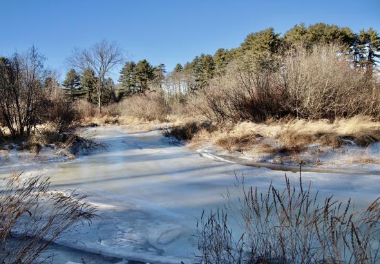 Blue Heron Preserve in winter